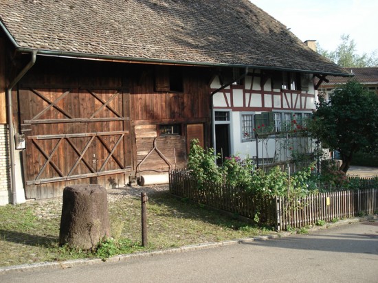 DSC04517