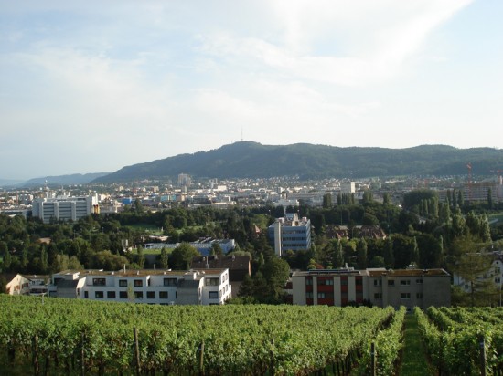 DSC04531