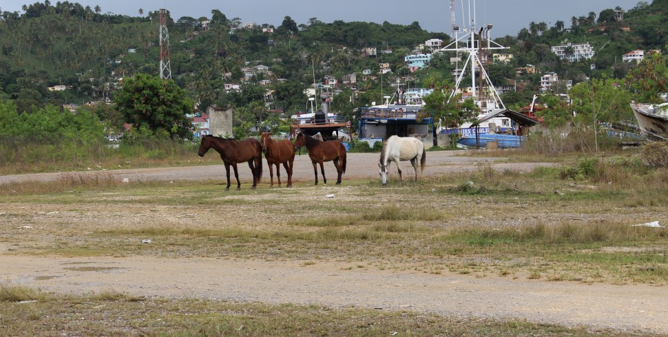 5 Stunden in Samaná