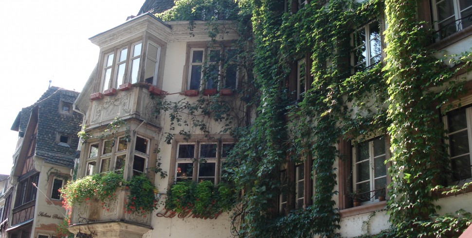 Grünes Elsass
