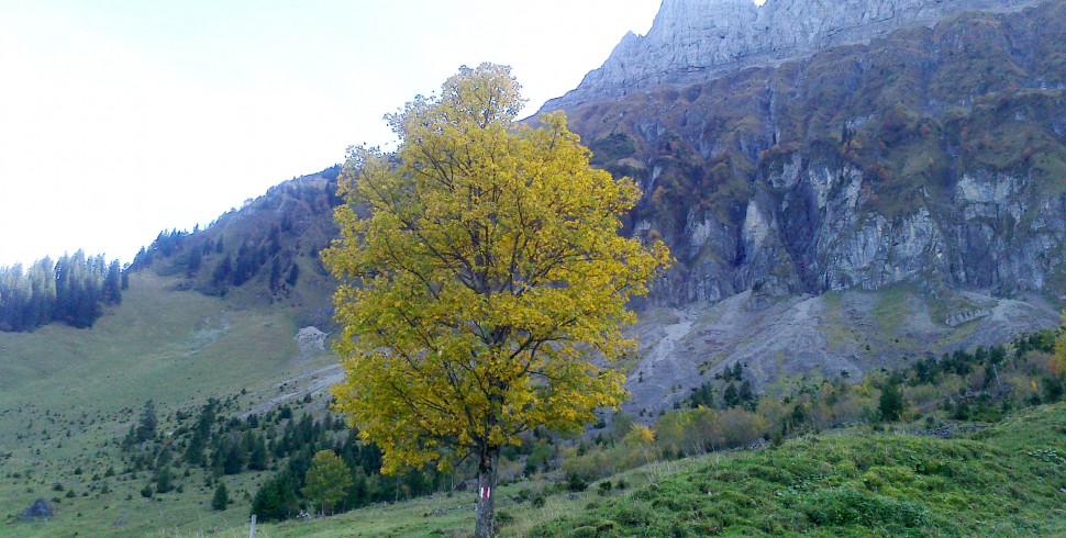 Indian Summer Flashback