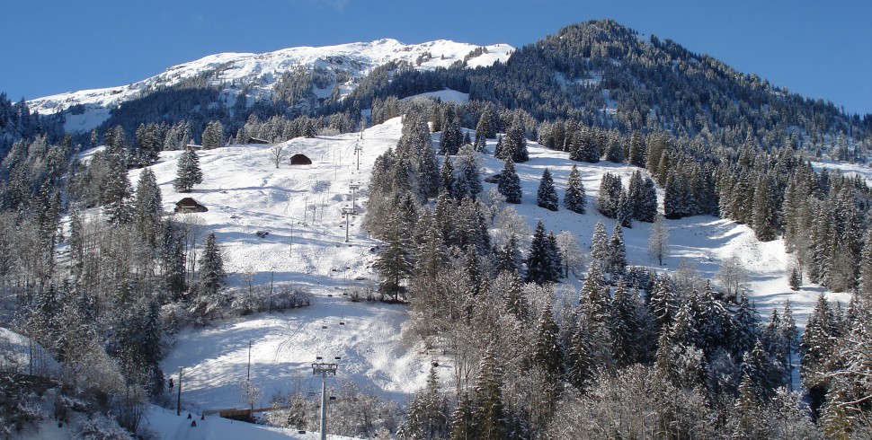 Schlittelspass im Kiental