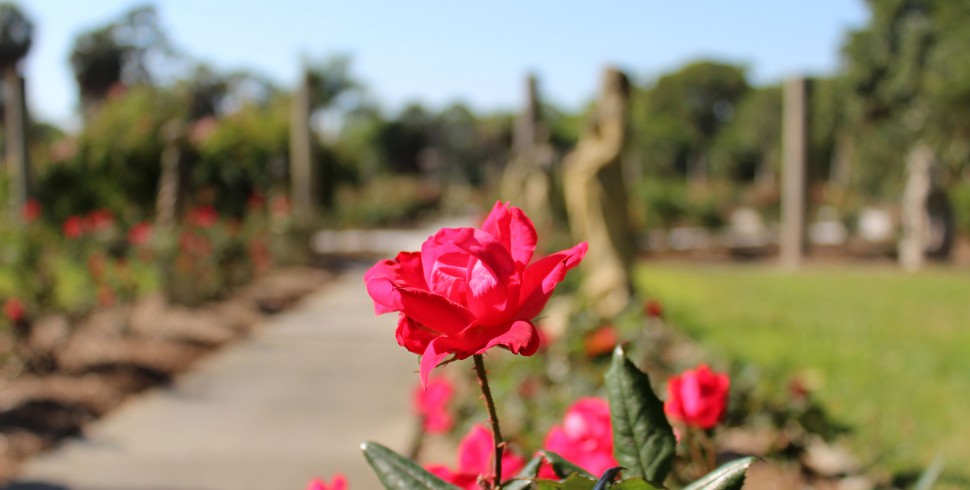 Garten Eden im Ringling Museum of Art