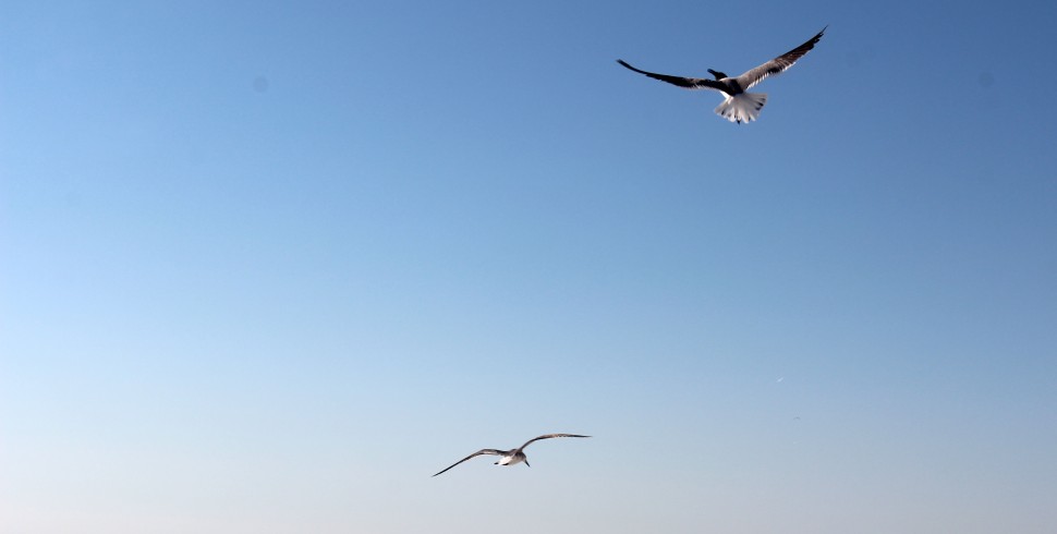 Hinter dem Horizont