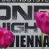 One night in Vienna