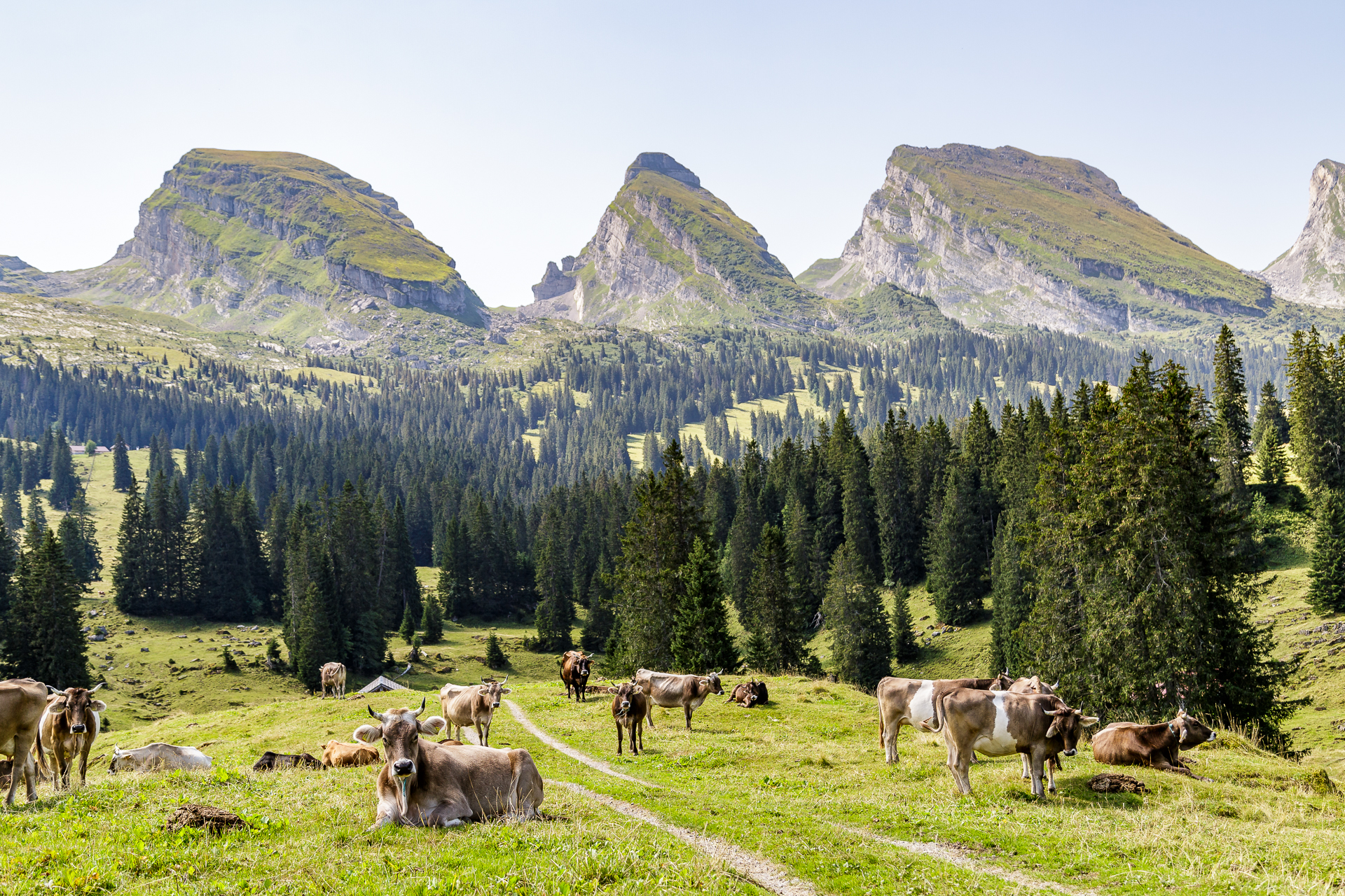 Mehrtagestour Entlang Dem Toggenburger H henweg Wanderung