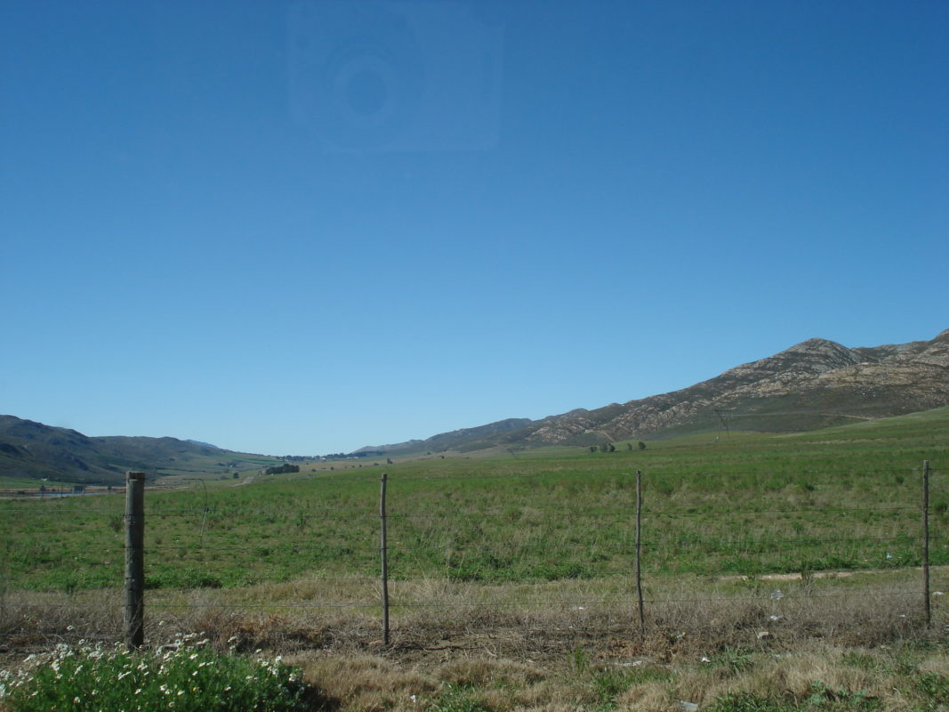 Landwirtschaft in Südafrika