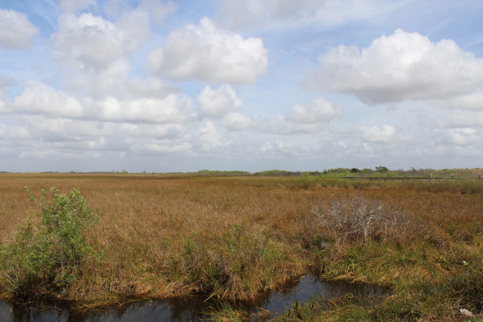 Everglades National Park