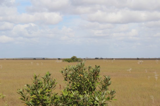 Aussicht vom Pa-hay-okee Overlook