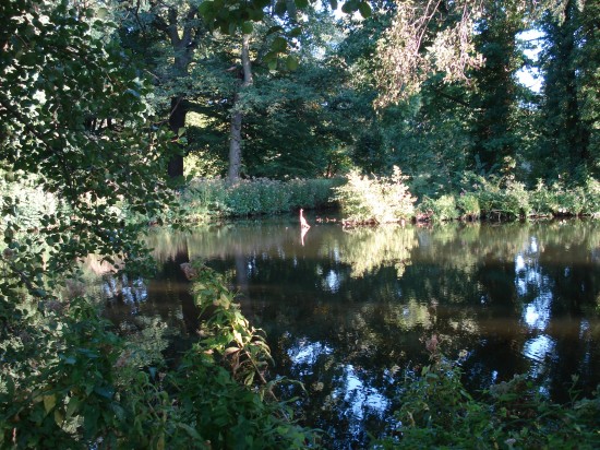 hübscher kleiner See beim Schloss Charlottenburg