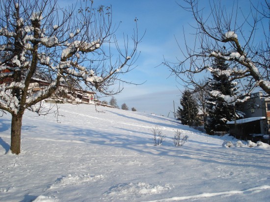 Winterstimmung