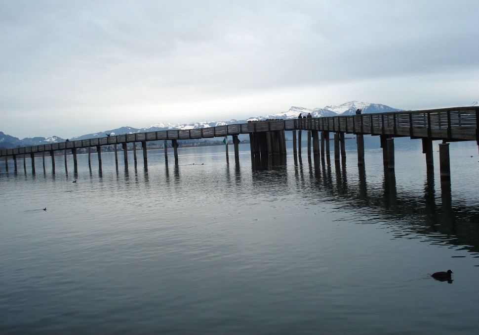 Holzsteg Zürichsee