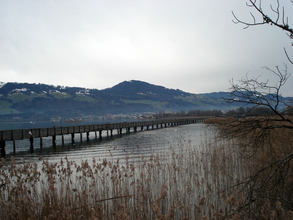 Holzsteg_Pfäffikon_Rapperswil