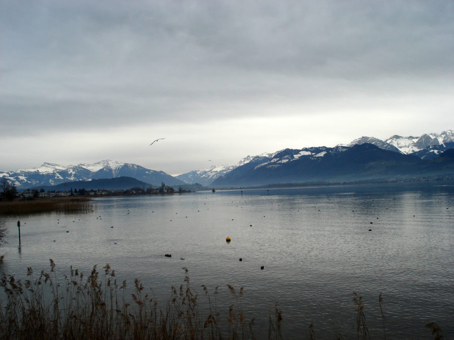 Über den See wandeln – Holzbrücke Rapperswil-Hurden