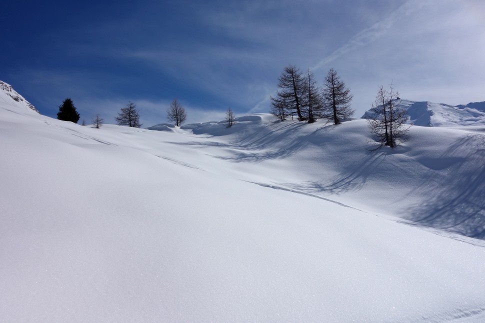 Winterlandschaft