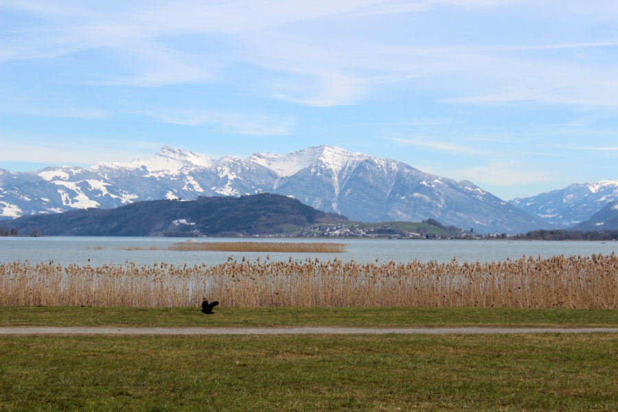 Freizeit zwischen Rapperswil und Einsiedeln