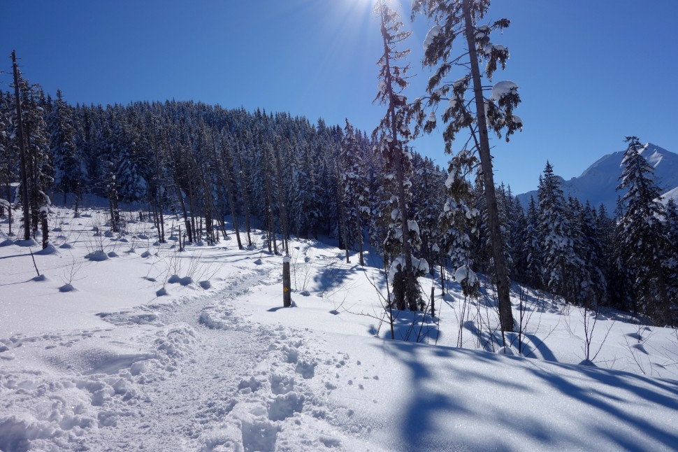 Winterlandschaft im Naturpark Gantrisch