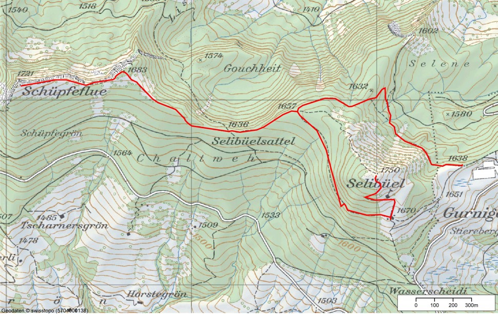 Naturpark Gantrisch Schneeschuhtrail Naturpark Gantrisch Schneeschuhtrail