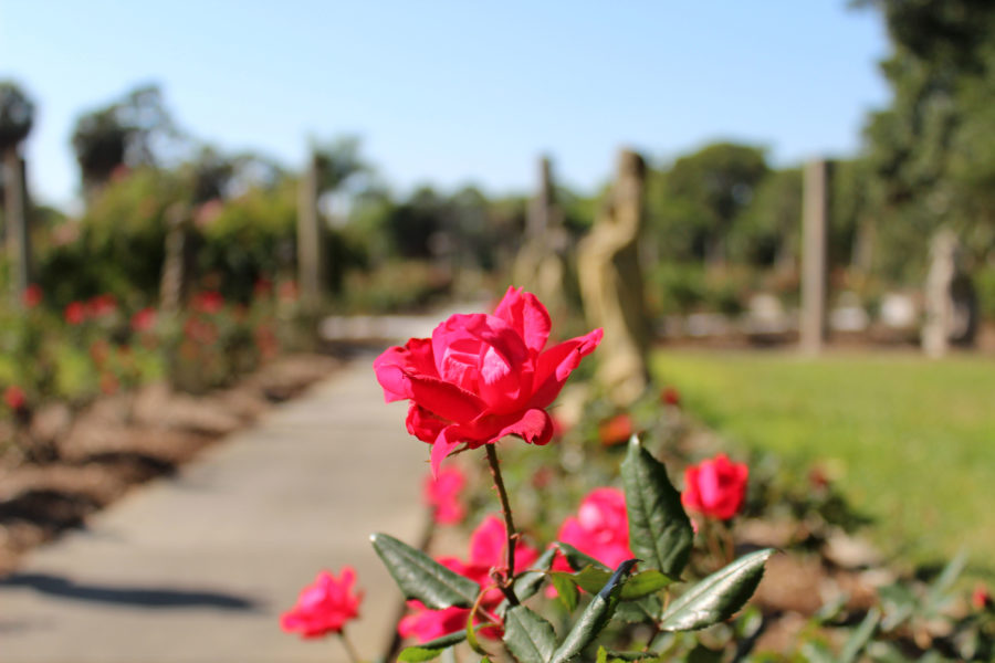 Garten Eden im Ringling Museum of Art