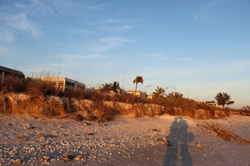 Sanibel Shadow