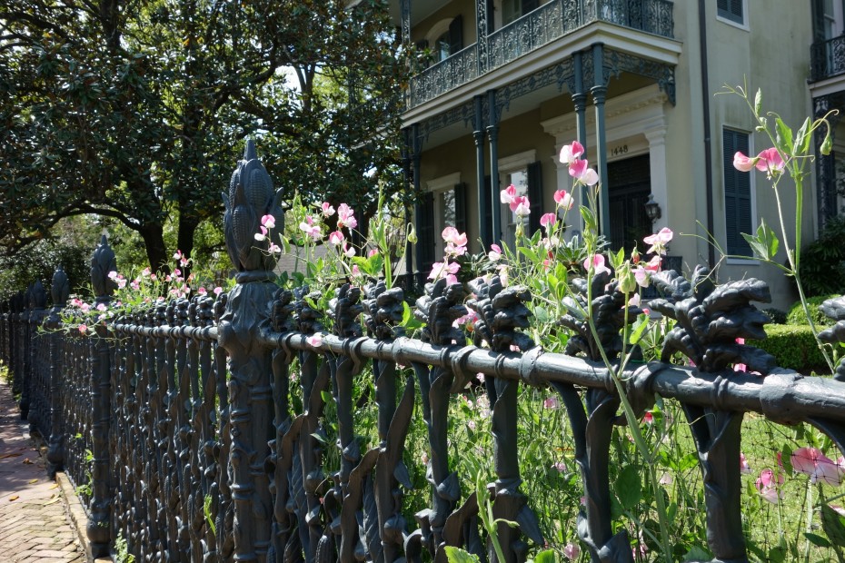 New_Orleans_Garden_District