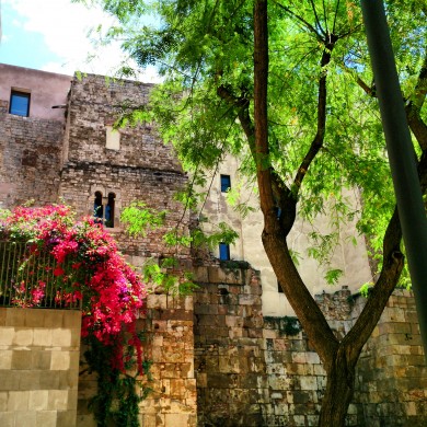 Backyard_Barri_Gotic