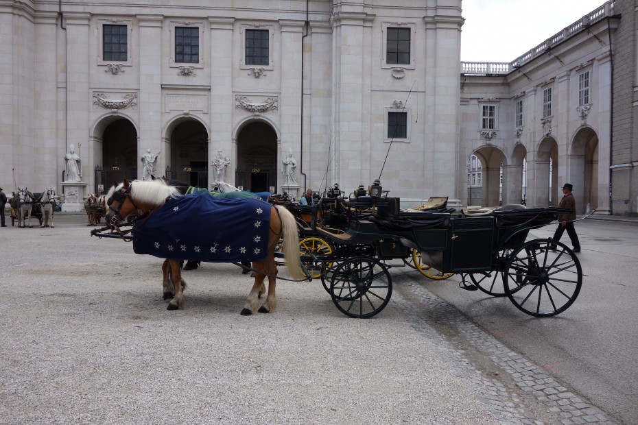 Haflinger_vor_Dom