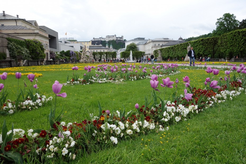 Mirabellgarten