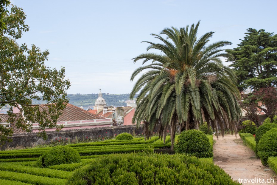 jardim-botanico-de-ayuda-park