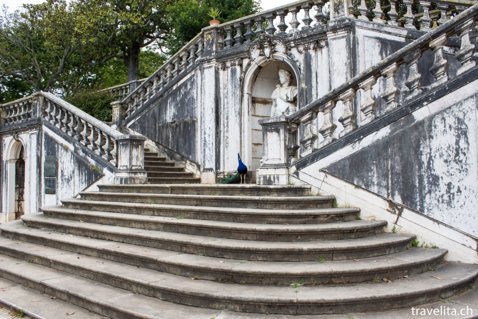 jardim-botanico-de-ayuda-park-pfau