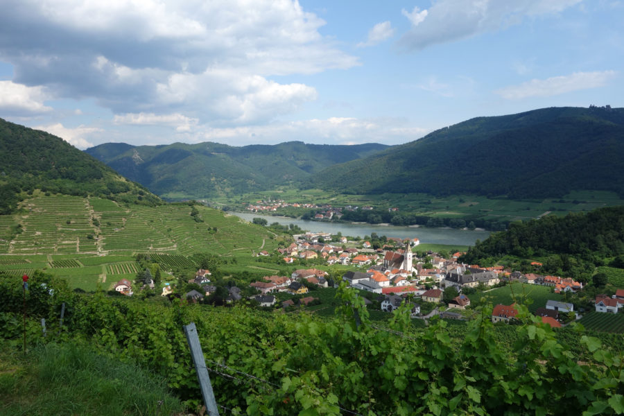 Reisen im Weinviertel und der Wachau