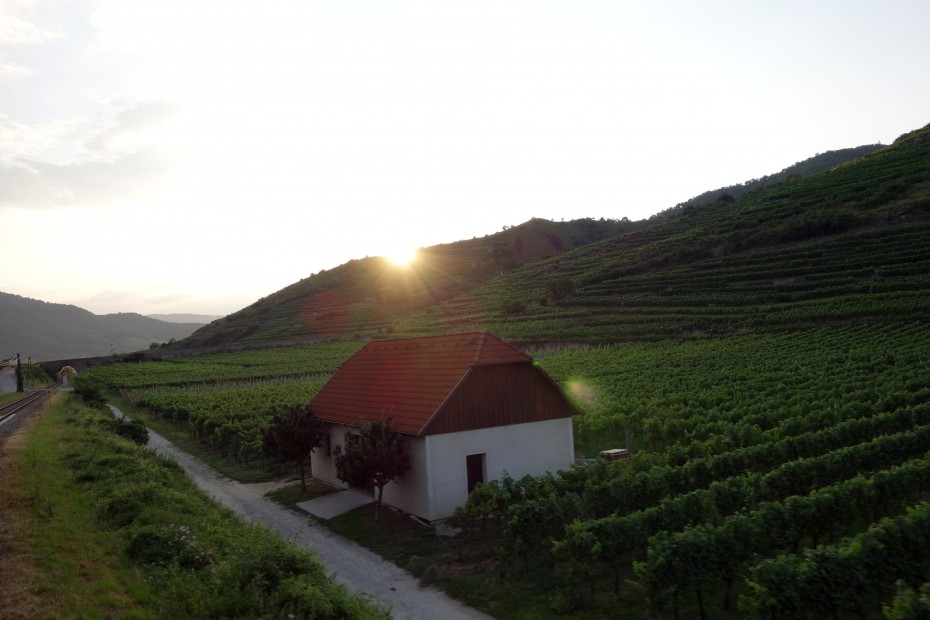 Wachau_Sonnenuntergang