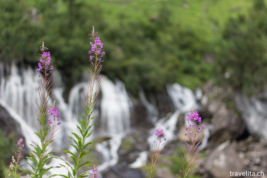 Lenk_Bi_de_Sibe_Bruenne