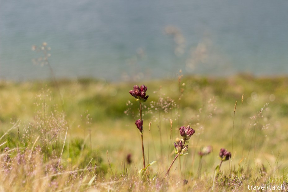 Tannalpsee_MelchseeFrutt-1