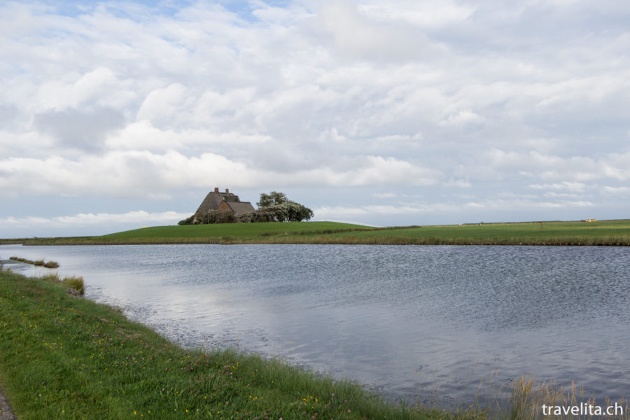 Hallig Hooge – im Gleichschritt mit den Gezeiten