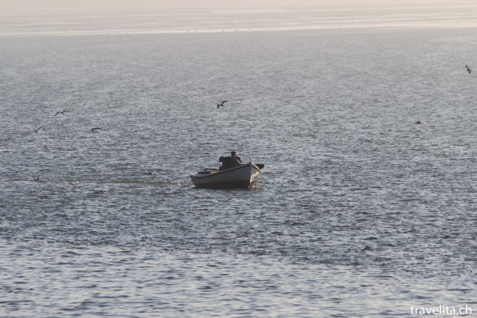 Hallig_Langeness_Fischer_Wattenmeer