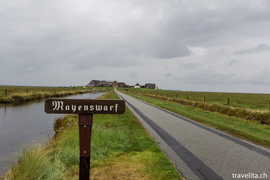 Hallig_Langeness_Mayenswarf