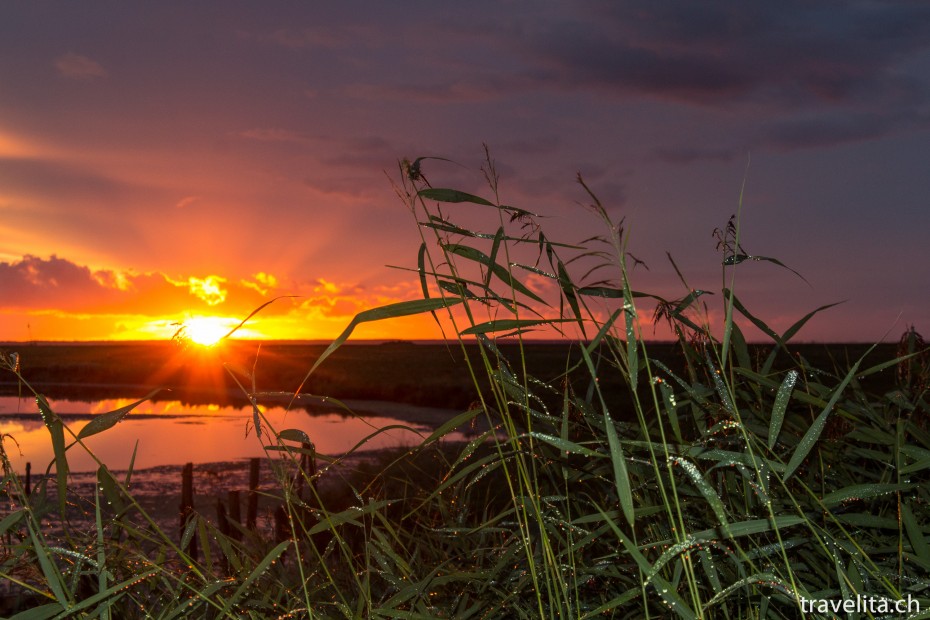 Hallig_Langeness_Sonnenuntergang (4)