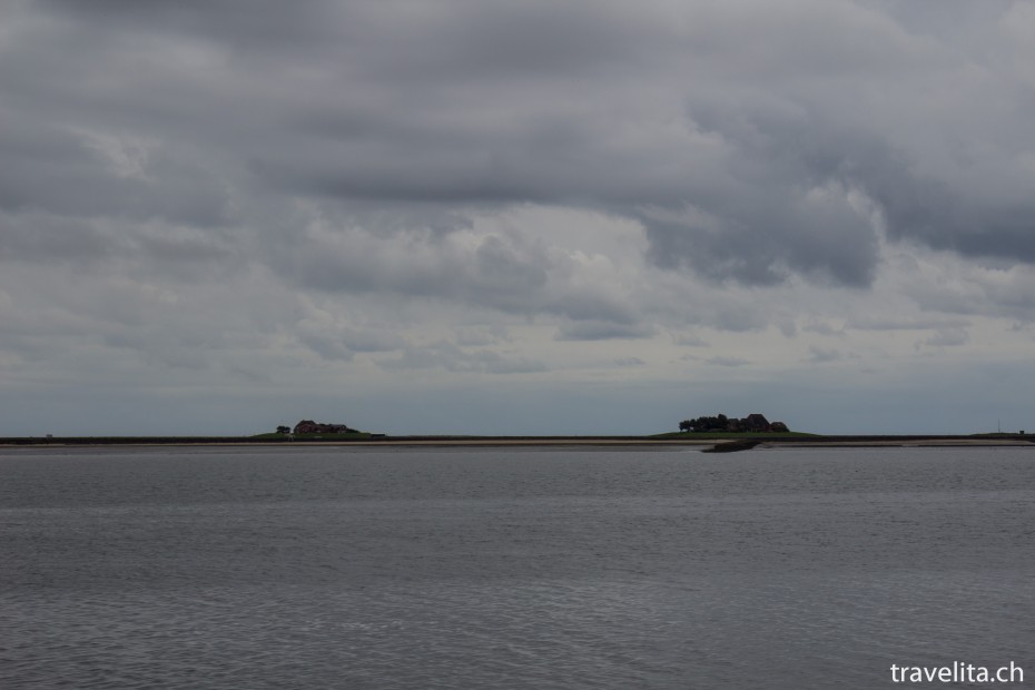 Halligen_Wattenmeer