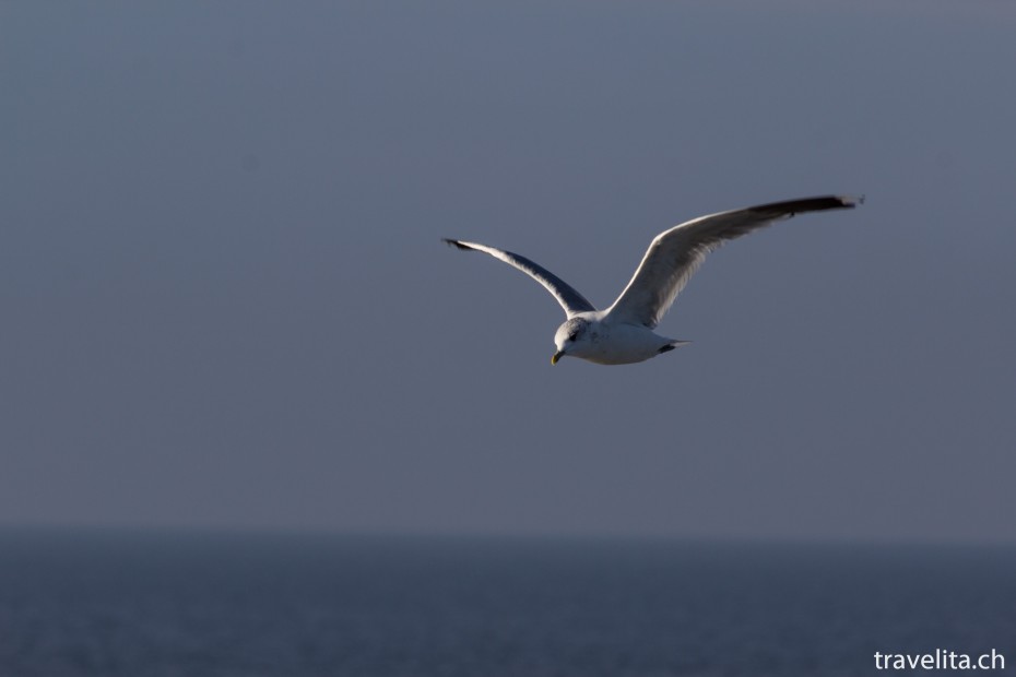 Halligen_Wattenmeer_2