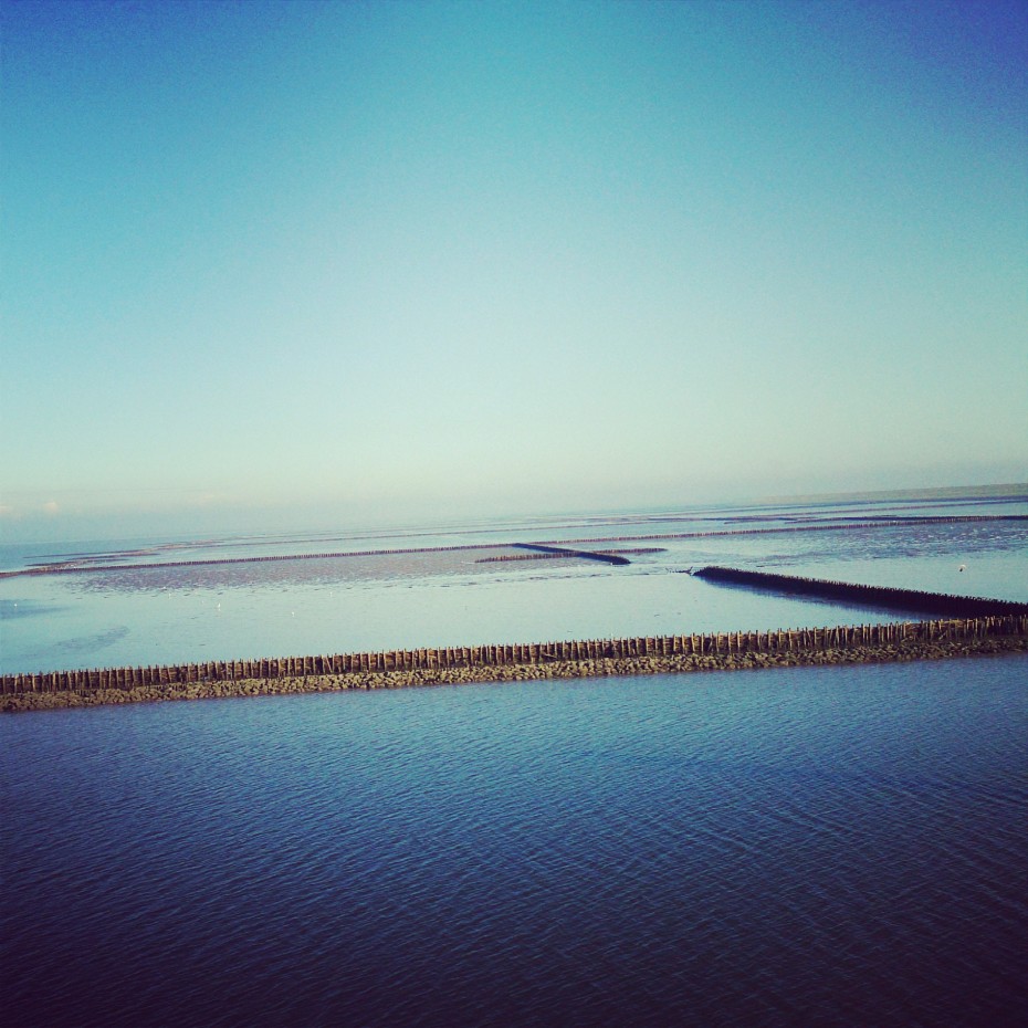 Instagram_Halligen_Wattenmeer