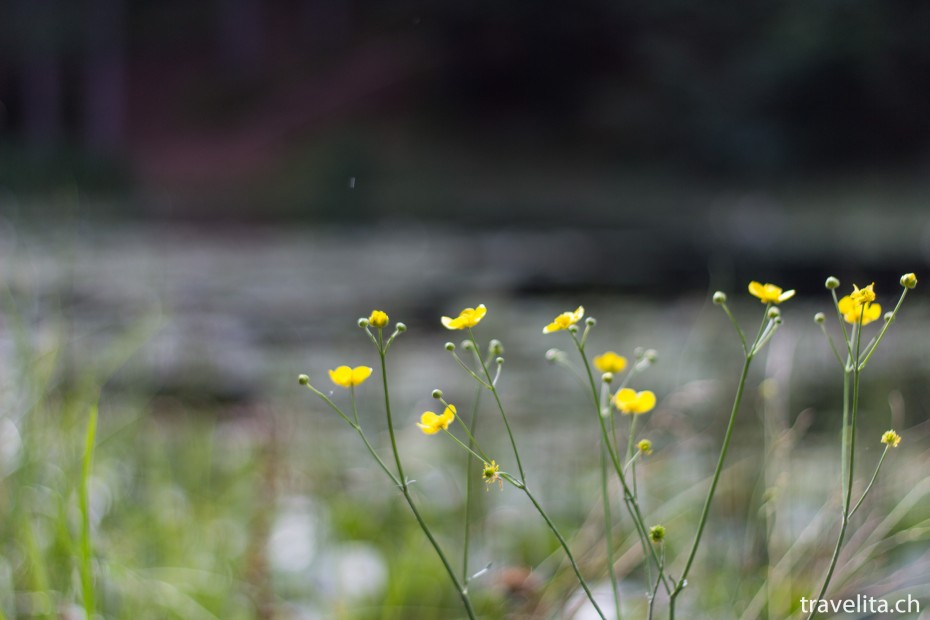 Meran_Miramonti_SulfnerWeiher