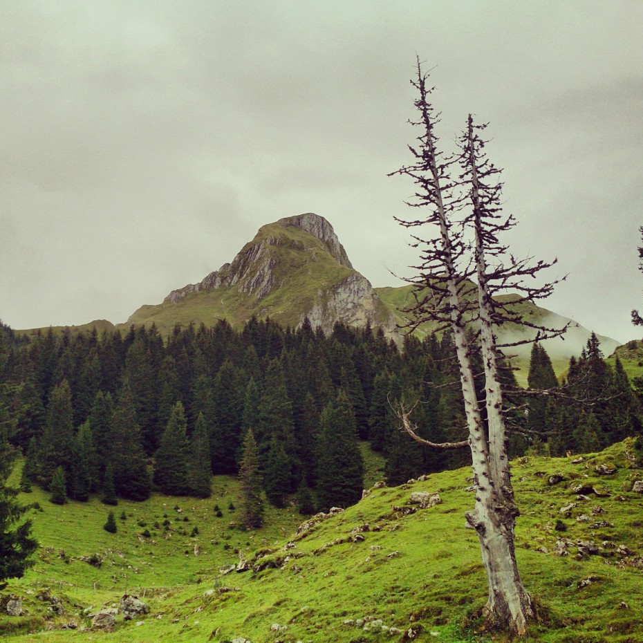 Naturpark Gantrisch