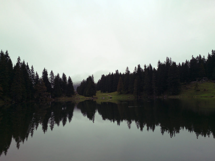 Gantrischseeli Wanderung – Rundweg im Naturpark Gantrisch