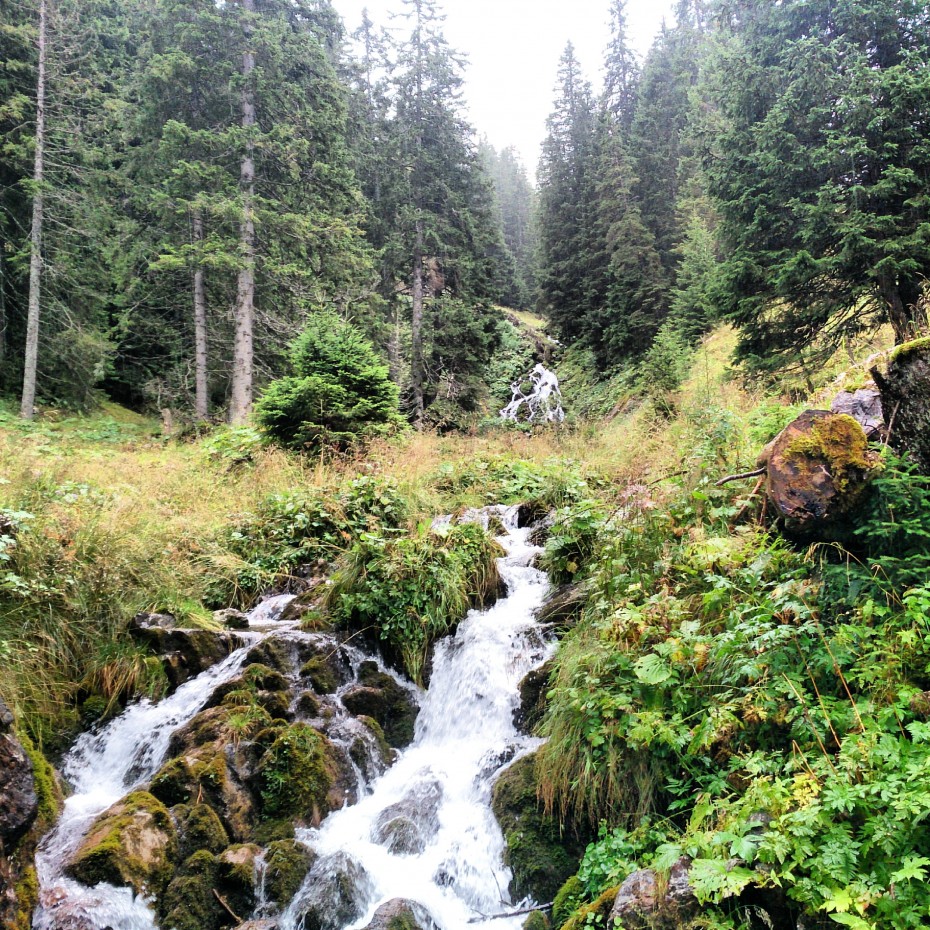 Naturpark_Gantrisch_Gantrischseeli_13