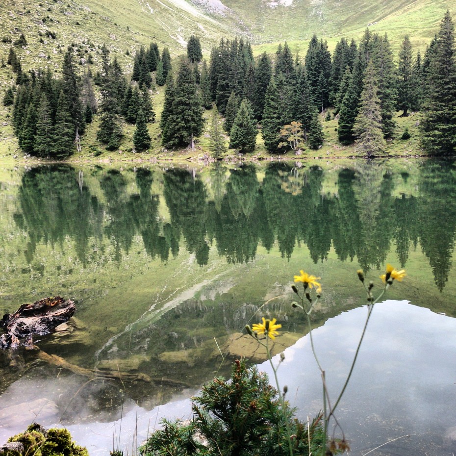 Naturpark Gantrisch Gantrischseeli