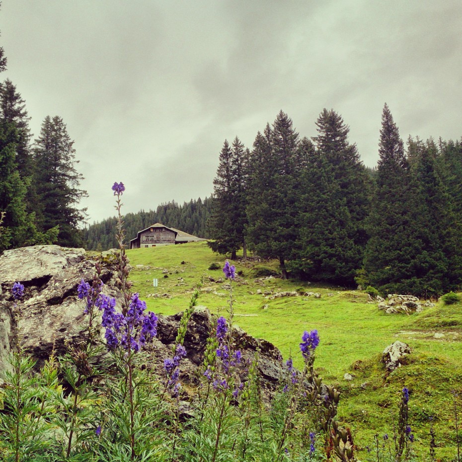 Naturpark Gantrisch Gantrischseeli wandern