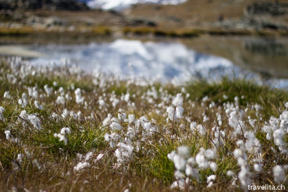 Zermatt_RIffelsee_3