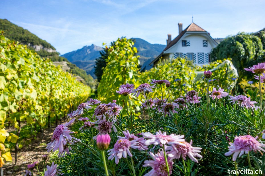 Aigle_Altstadt