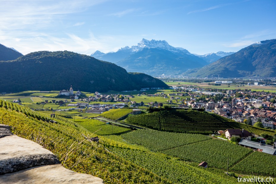 Aigle_Weinlese_5